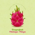 Pitaya, pitahaya illustration. Red ripe dragon fruit on shabby background. Original illustration Royalty Free Stock Photo