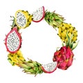 Pitaya round wreath frame with watercolor pink yellow and green dragon fruits and slices for stickers, labels