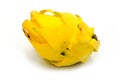 Pitaya Yellow Dragon Fruit Hylocereus megalanthus.