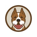 Pitbull boxer dog head mascot in circle Royalty Free Stock Photo