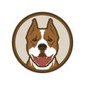 Pitbull boxer dog head mascot in circle