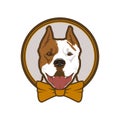 Pitbull boxer head dog mascot in bow-tie Royalty Free Stock Photo