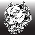 Pitbull Chain Dog Logo Mascot  bulldog Angry Dog Black Vector Royalty Free Stock Photo