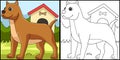 Pitbull Dog Coloring Page Colored Illustration