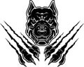 Pitbull Dog Rip Claw Surface Black Sigil