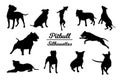 Pitbull dog silhouettes.