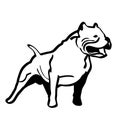 Pitbull dog Hand drawn, Vector, Eps, Logo, Icon, crafteroks, silhouette Illustration for different uses