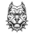 Pitbull head in black and white color style