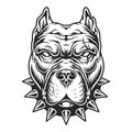 Pitbull head in black and white color style