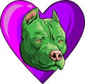 Pitbull Head Dog In Heart Vector Illustration