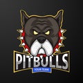 Pitbull Head Mascot, logo for a sport team Royalty Free Stock Photo