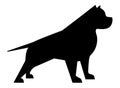 Pitbull silhouette