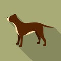 Pitbull vector icon in flat style for web Royalty Free Stock Photo