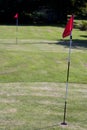 Pitch and Putt Two Greens Royalty Free Stock Photo