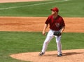 Pitcher Blaine Boyer, the Arizona Diamondbacks