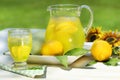 Pitcher of cool lemonade Royalty Free Stock Photo