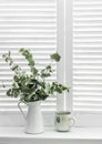 Pitcher of dried eucalyptus branches and tea mug on a window with light wooden shutters. Rustic home decoration concept Royalty Free Stock Photo