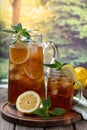 Pitcher and glass of ice tea with lemon slices and mint Royalty Free Stock Photo