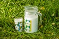 Pitcher and glass of milk on the green grass Royalty Free Stock Photo