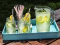 Pitcher of lemonade and frosty glasses on a picnic table