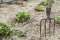 Pitchfork in the ground closeup Royalty Free Stock Photo