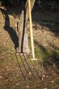 A pitchfork leaning against a tree at sunset