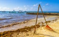 Pitchfork rake broom seaweed sargazo beach Playa del Carmen Mexico