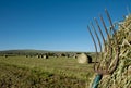 A pitchfork stuck in a bale of hay