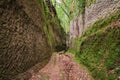 Pitigliano, Grosseto, Tuscany, Italy: Etruscan Via Cava, ancient trench dug into the tuff rock Royalty Free Stock Photo