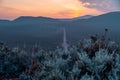 Piton de la Fournaise at sunrise - Reunion, France - Africa