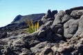 Piton de la Fournaise volcano, Reunion island, indian ocean, France Royalty Free Stock Photo