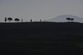 Pitoresque region Tuscany, the trees on the horizon, Italy. Royalty Free Stock Photo