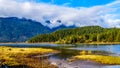 Pitt Lake with the Snow Capped Peaks of the Coast Mountain Range in the Fraser Valley of British Columbia Royalty Free Stock Photo