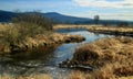 Pitt Lake valley British Columbia