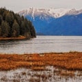 Pitt lake view on an overcast day