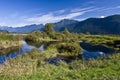 Pitt Polder, Pitt Lake, Pitt Meadows, BC Royalty Free Stock Photo