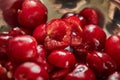 Pitted cherries are ready in pie bowl. Step by step recipe Royalty Free Stock Photo