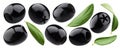 Pitted olives collection. Black olive isolated on white background Royalty Free Stock Photo