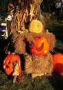 Pittsboro, NCl Halloween Pumpkins