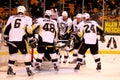 Pittsburgh Penguins NHL Hockey Royalty Free Stock Photo