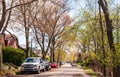 Pittsburgh, Pennsylvania, USA April 11, 2021 Cars parked along a tree lined residential street in the Regent Square neighborhood Royalty Free Stock Photo