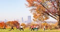 Pittsburgh, Pennsylvania, USA 11/7/20 A group of women having a yoga class in Schenley Park with downtown Pittsburgh in the backgr