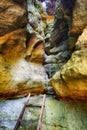 Pivnice sandstone canyon in Czech republic, Vysocina