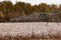 Pivot Irrigation System Cottonfield North Carolina NC USA