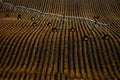 Pivot Irrigation Water Lines on Furrowed Farm Ground