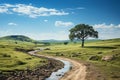 Pivotal decision point, fork in road, grass, blue sky, horizon backdrop Royalty Free Stock Photo