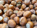 Lot of Nuts background Royalty Free Stock Photo