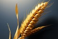 Pixar style 3D rendering showcasing a close up of a wheat ear