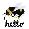 pixel art bee. A bumble honey bee bug insect pixel art video game icon Royalty Free Stock Photo