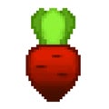 pixel art beetroot. Illustration of vegetables. Vector illustration Royalty Free Stock Photo